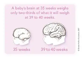$Brain-Illustration.webp