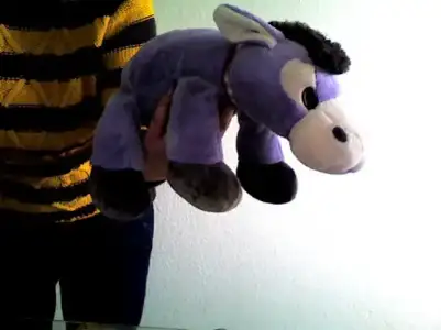 $Snapshot_20090327_5.webp