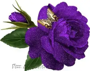 $66f8a1861.webp