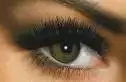 $2JHLCABVOYNJCA8A2HXUCA6XFG4QCA24YEZ4CA6J301TCAJ86JD2CA3C3XWJCAS14UQ1CABDVQRRCAYX7U7BCA2XKYDK...webp