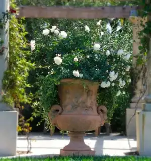 $bahce_dekorlari (36).webp