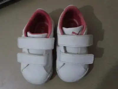 $puma.webp