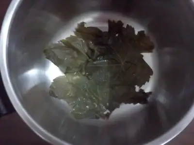 $IMG20130407_024.webp