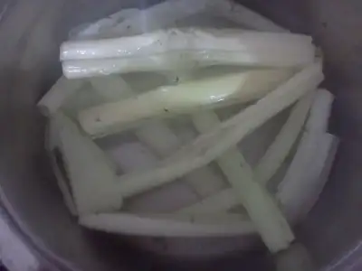 $IMG20130407_026.webp