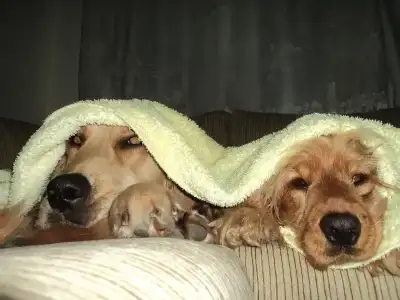 $DSC05355 - Kopya.webp