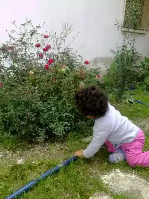$06042013570.webp