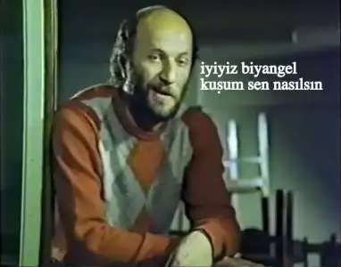 $cos.jpg