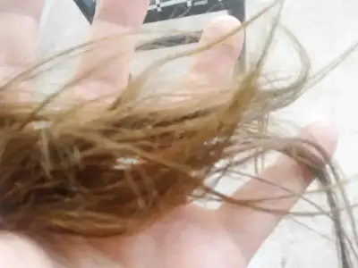 $110420133466.webp