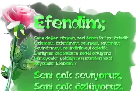 $kutlu-dogum-haftasi-resimleri-9[1].webp