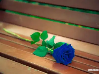 $Flowers_999025 (1).webp