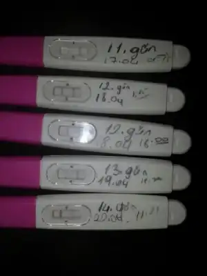 $IMG-20130420-WA0001.webp $IMG-20130420-WA0001.webp