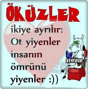 $&#246;k&#252;z.webp