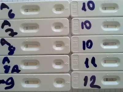 $25042013747.webp $25042013747.webp