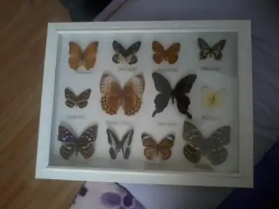 $2013-04-06 13.05.17.webp