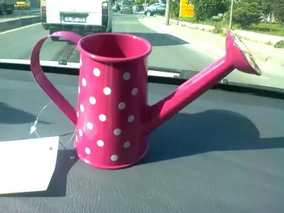 $migros &#231;i&#231;ek sulama aparat&#305;.webp