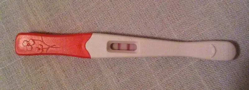 $fotoðraf.webp $fotoðraf.webp