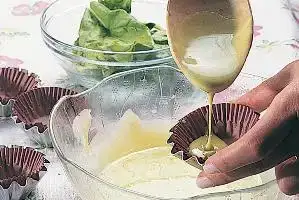 $71923_456063807796820_445464910_n (1).webp