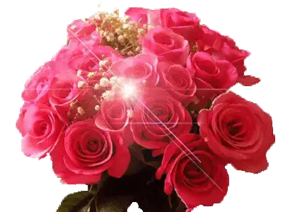 $70_large.webp $70_large.webp