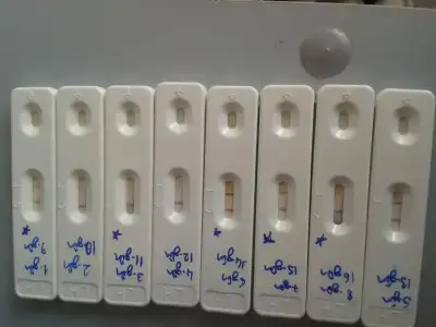 $2013-05-02 11.10.06.webp