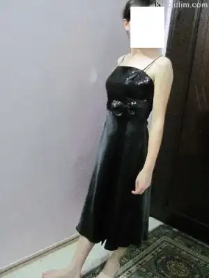 $500494.webp