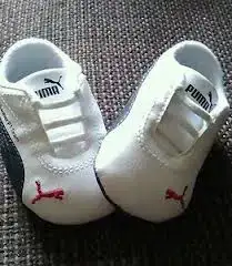 $puma4.webp $puma4.webp