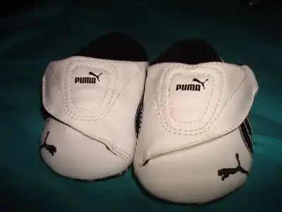 $pumaaa.webp $pumaaa.webp