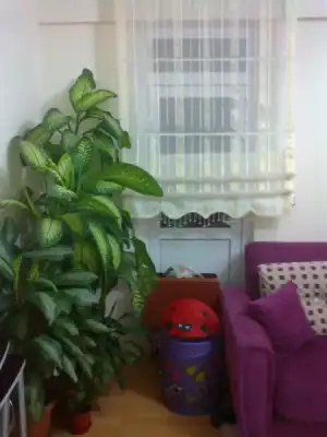 $Foto&#287;raf0163.webp
