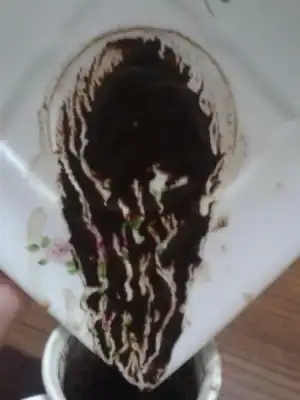 $2013-05-07 20.15.41.webp