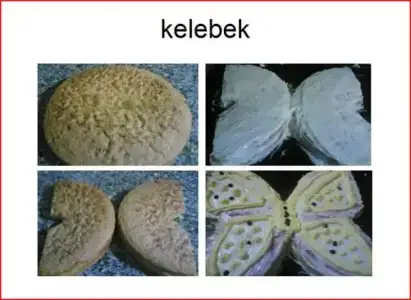 $kelebek1248502588.webp $kelebek1248502588.webp
