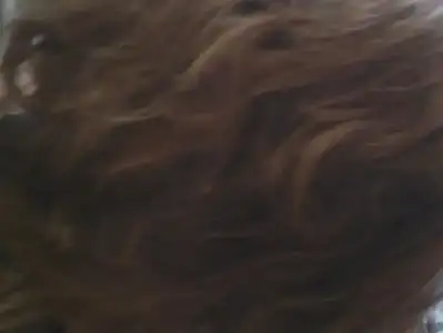 $2013-05-12 16.19.31.webp