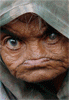 $avatar_1910.gif