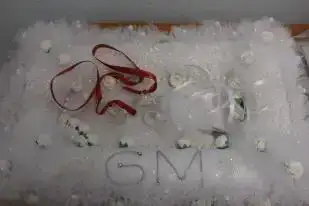 $534141_10151247169293684_983418825_n.webp $534141_10151247169293684_983418825_n.webp