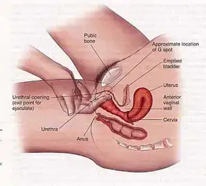 $gspot.webp $gspot.webp