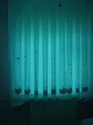 $zeynep oda 4.webp $zeynep oda 4.webp