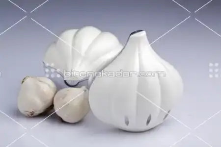 $sarımsak saklama kabı.webp $sarımsak saklama kabı.webp