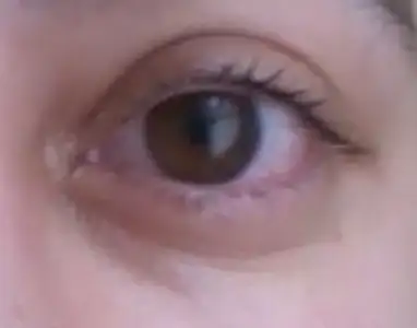 $sabah kalkncakı.webp