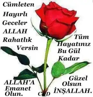 $resimli-iyi-geceler-sozleri.webp