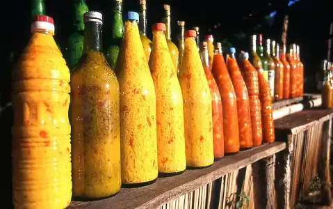 $800px-Achards_de_mangue_et_citron_lemon_mango_achar_Madagascar.webp $800px-Achards_de_mangue_et_citron_lemon_mango_achar_Madagascar.webp
