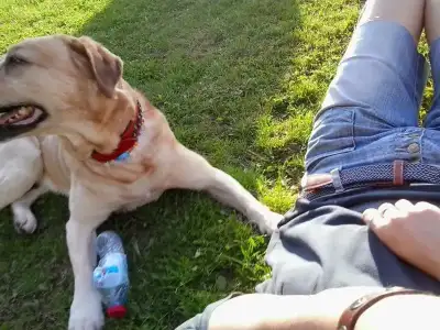 $2013-05-18 18.45.57.webp