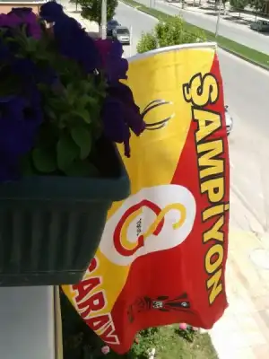 $2013-05-19 13.37.12.webp