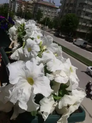 $2013-05-19 12.52.41.webp