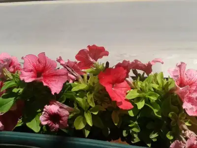 $2013-05-19 12.52.56.webp