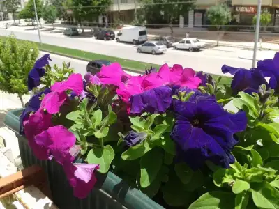 $2013-05-19 12.55.03.webp