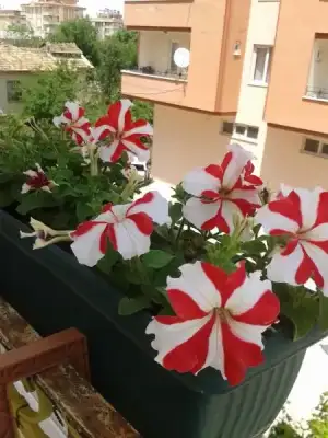 $2013-05-19 12.55.55.webp