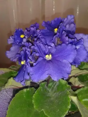 $2013-05-18 17.00.32.webp