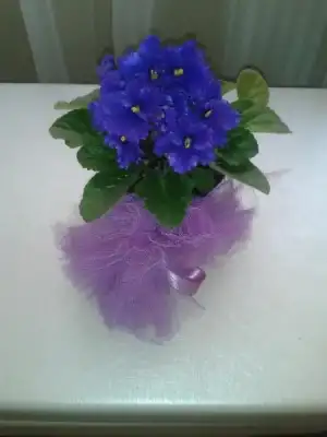 $2013-05-18 17.00.01.webp