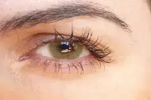 $h&#305;drocor mel1.webp