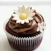$cupcake34.webp
