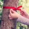 $treebow.webp