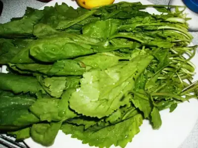 $tere.webp $tere.webp